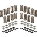 FERREA ΣΕΤ ΕΛΑΤΗΡΙΑ RETAINERS Audi TTRS / RS3 2.5L TFSI (DAZA)